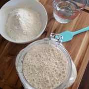 Sự khác nhau của Levain và starter ? Men tự nhiên sourdough có cần ăn thường xuyên không?