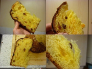 Quy Trình Cấy Lievito Madre và Công thức Panettone Cơ bản.