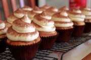 Tiramisu cupcake dành cho tín đồ mê tiramisu