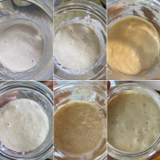 HƯỚNG DẪN NUÔI SOURDOUGH STARTER (BỘT CÁI) CHO NGƯỜI MỚI BẮT ĐẦU.