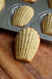 Công thức MADELEINES - món bánh con sò độc đáo từ Pháp. Theo Hương Phạm