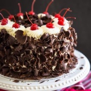 BLACK FOREST - Khu rừng đen bí ẩn