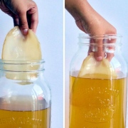 Cách nuôi Kombucha tốt và lành. Cách PHA TRÀ ĐƯỜNG NUÔI SCOBY như thế nào ?