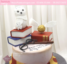 Bánh fondant sinh nhật Harry Potter đẹp ấn tượng nhất với Cú Hedwig 8600